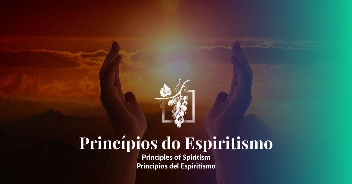 Princípios Do Espiritismo Os 5 Princípios Básicos Da Doutrina Espírita 