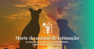 morte animal de estimação espiritismo